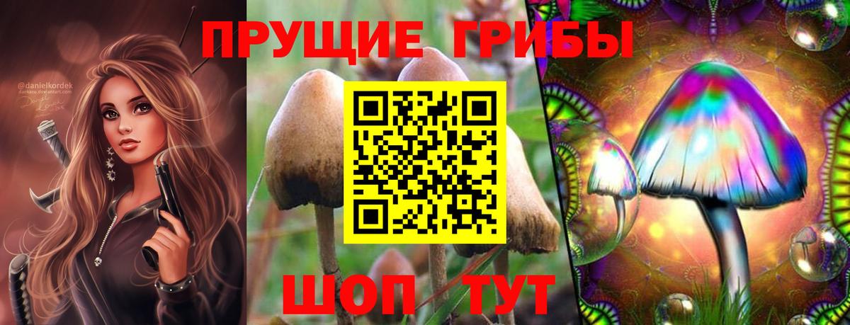 купить  сайты  Вход с VPN  Моздок  Галлюциногенные грибы MAGIC MUSHROOMS 